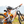 Mountain Bike Demo Day